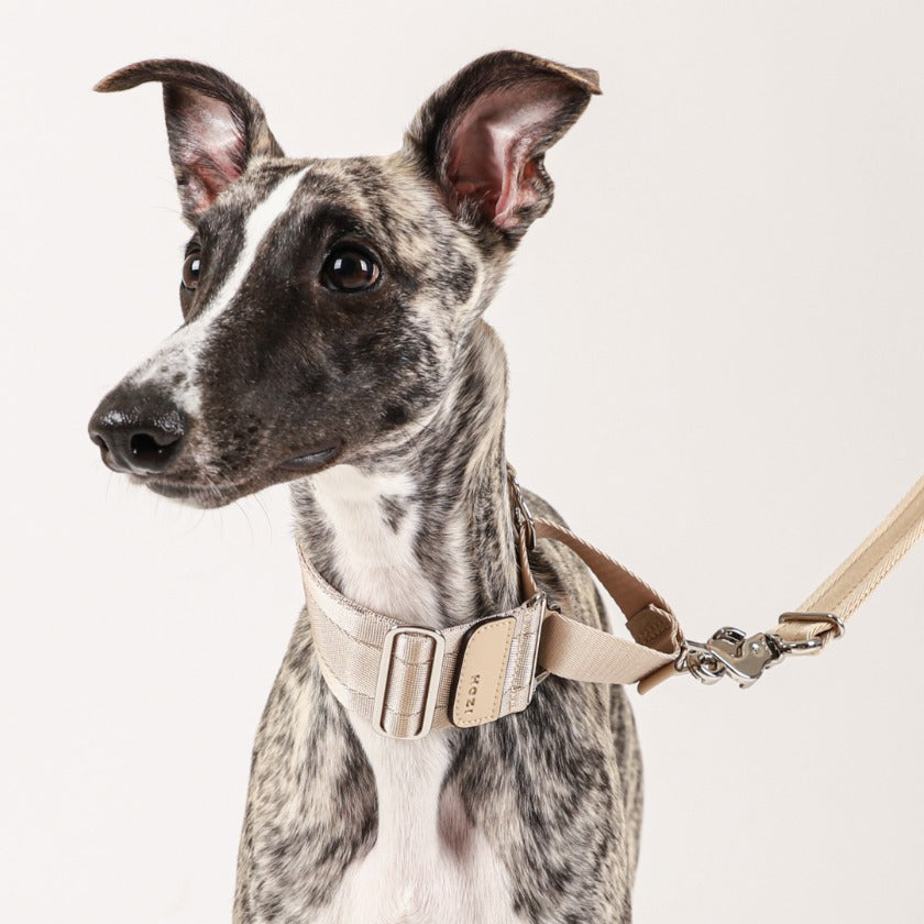 Wide Martingale_BEIGE