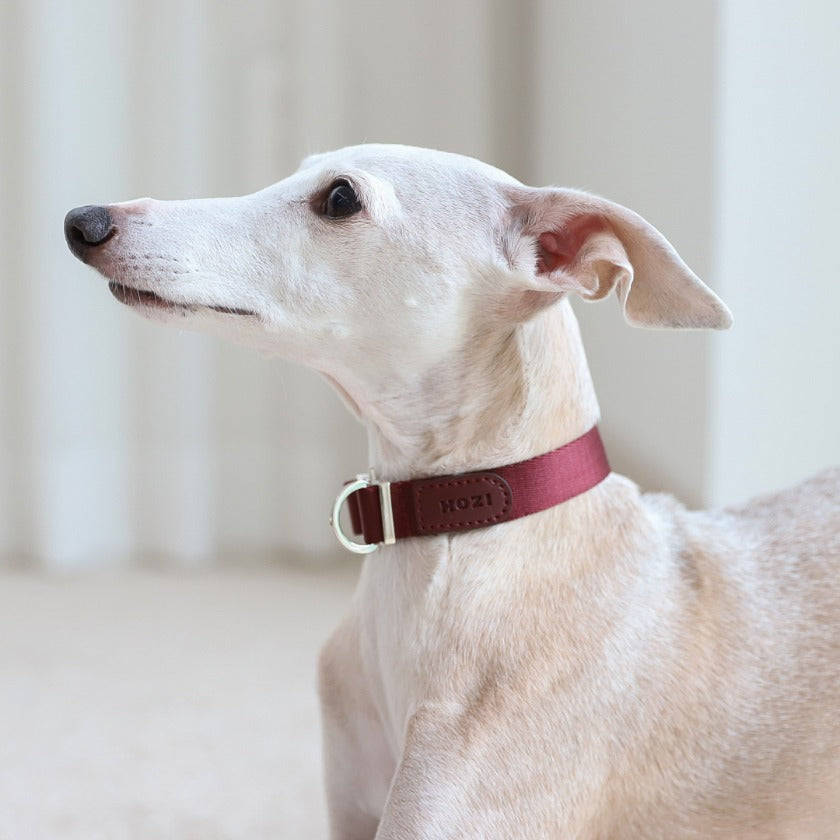 Buckle Strap_BURGUNDY