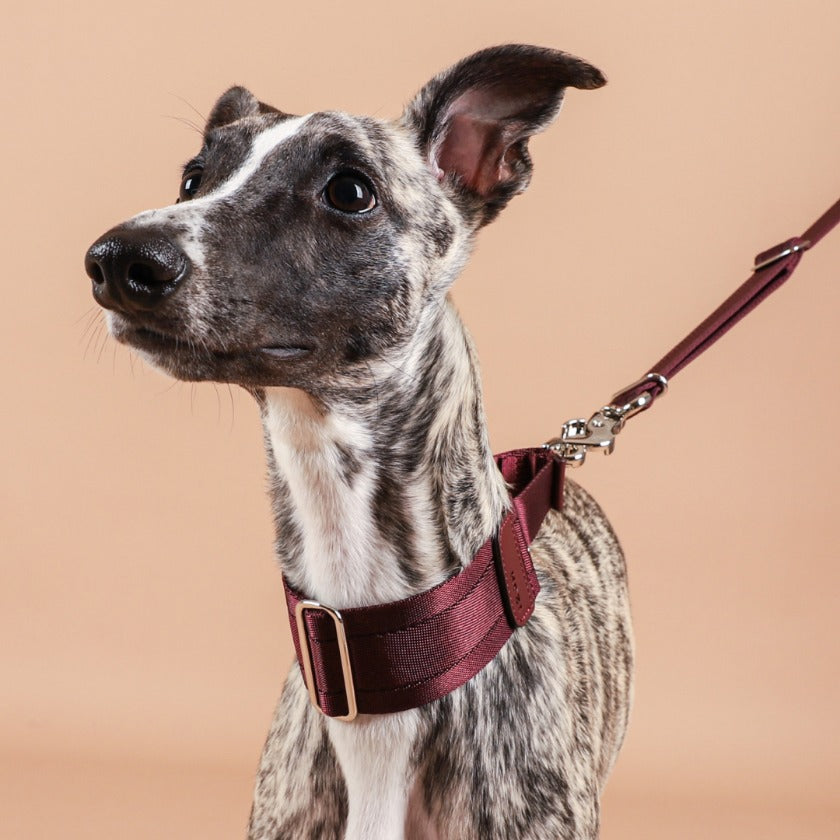 Wide Martingale_BURGUNDY