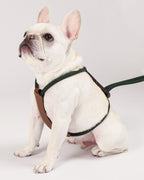 Essential Harness DEEP GREEN