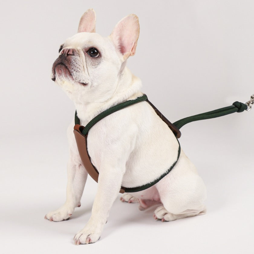 Essential Harness_DEEP GREEN