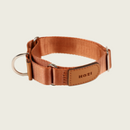 Martingale_CAMEL