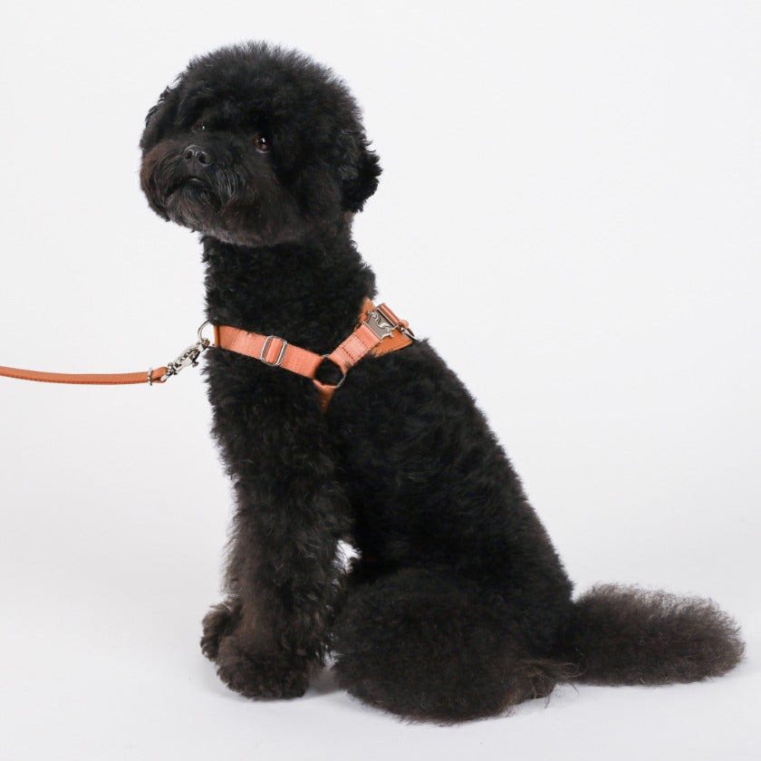 Horsebit Harness_CAMEL