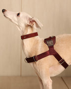 [NEW] Bridle Harness BLCAK
