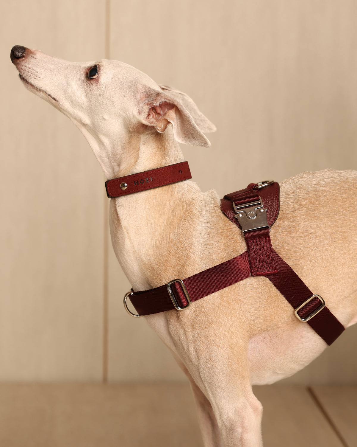 [NEW] Bridle Harness BLCAK