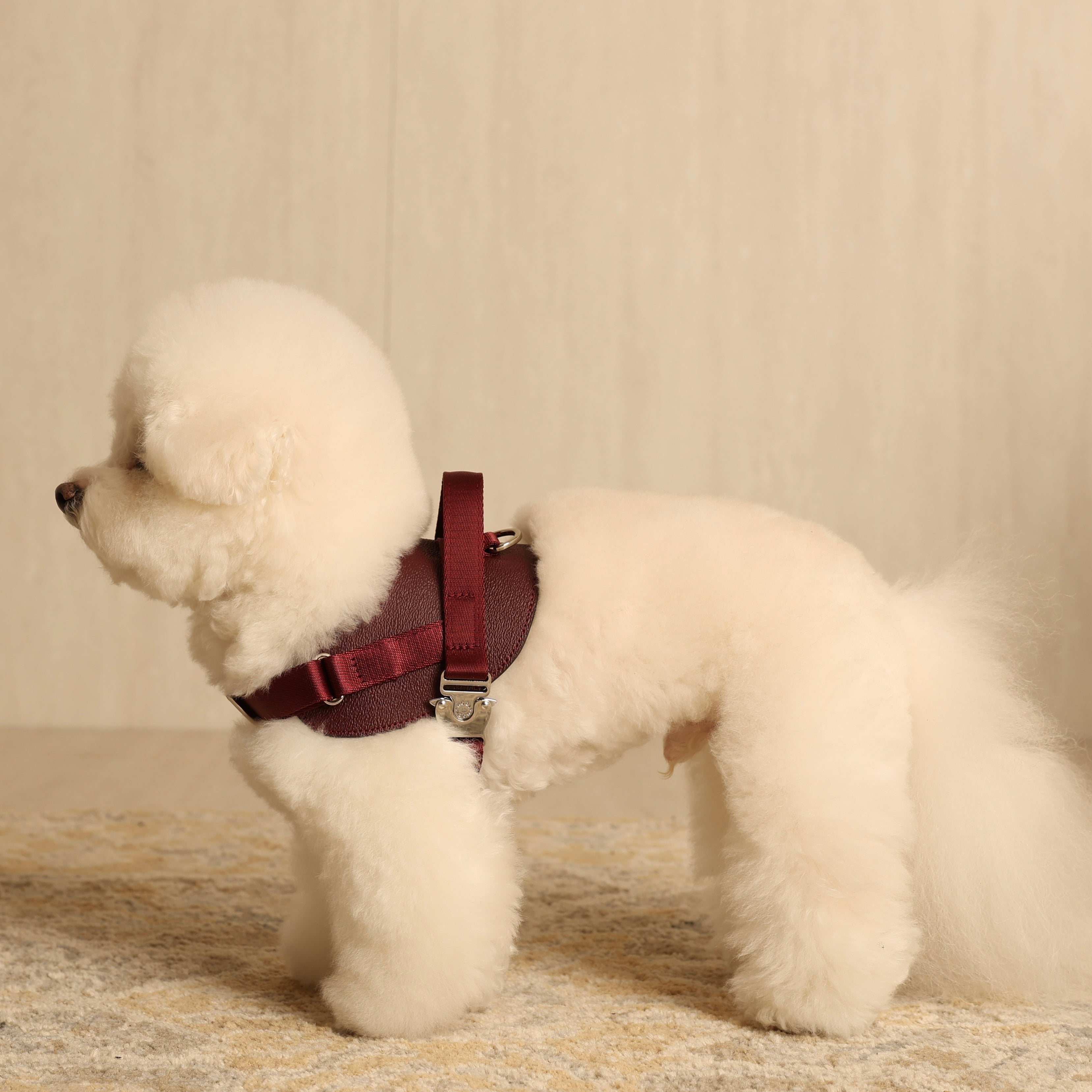 Saddle Harness_BURGUNDY