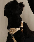 Horsebit Harness BEIGE
