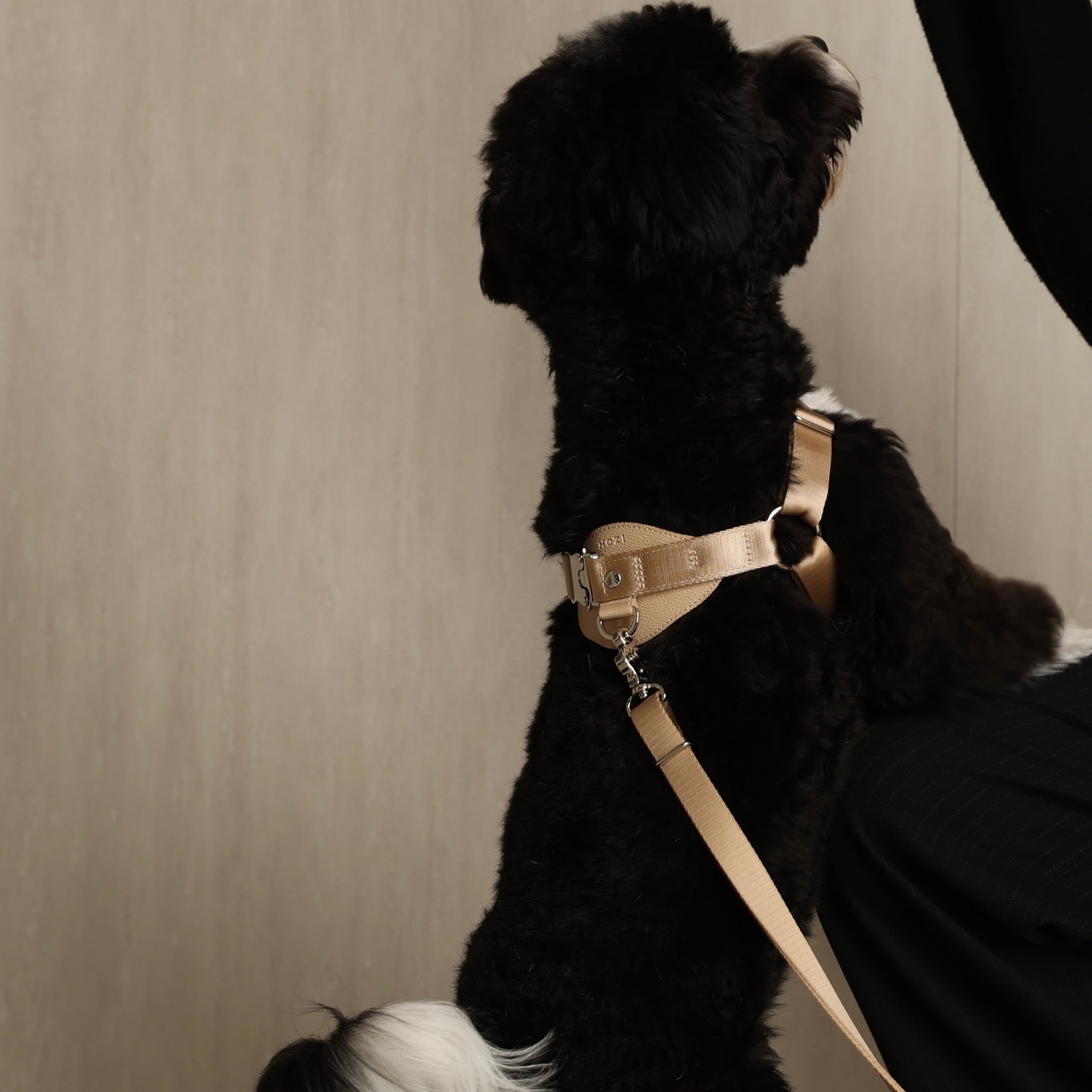 Horsebit Harness_BEIGE