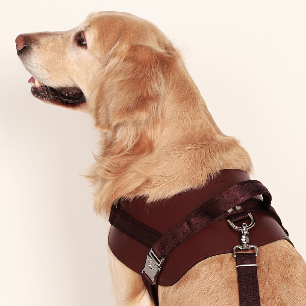 Saddle Harness_BURGUNDY