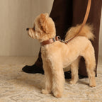 Buckle Strap_CAMEL