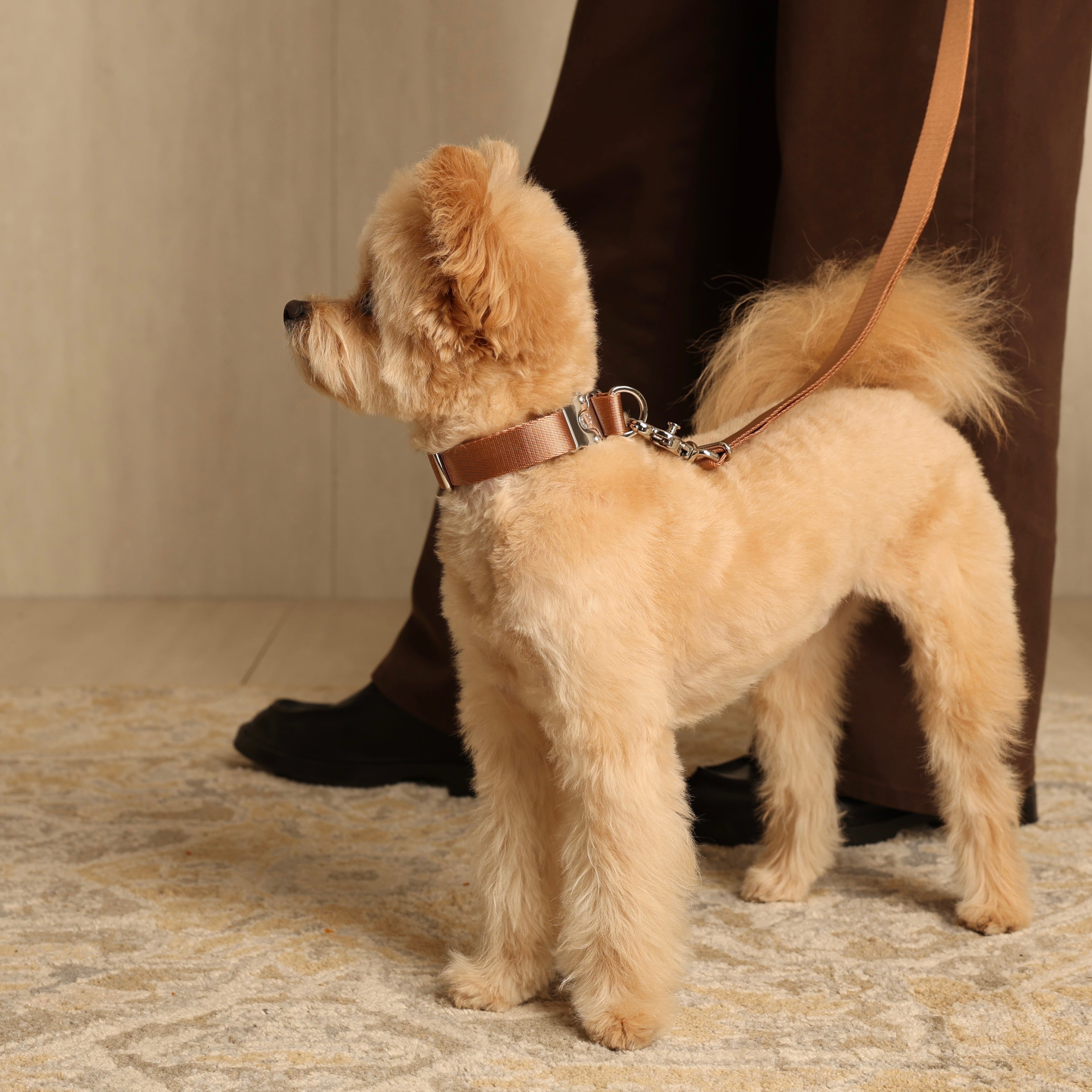 Buckle Strap_CAMEL