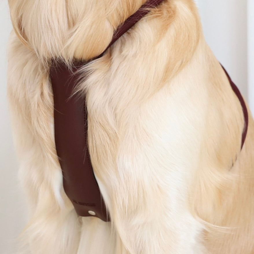 Essential Harness_BURGUNDY