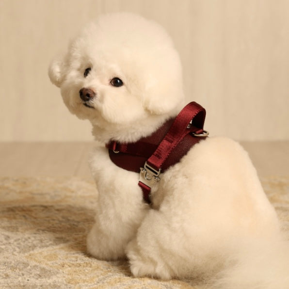 Saddle Harness_BURGUNDY