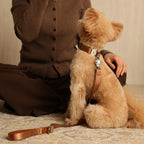 Buckle Strap_CAMEL