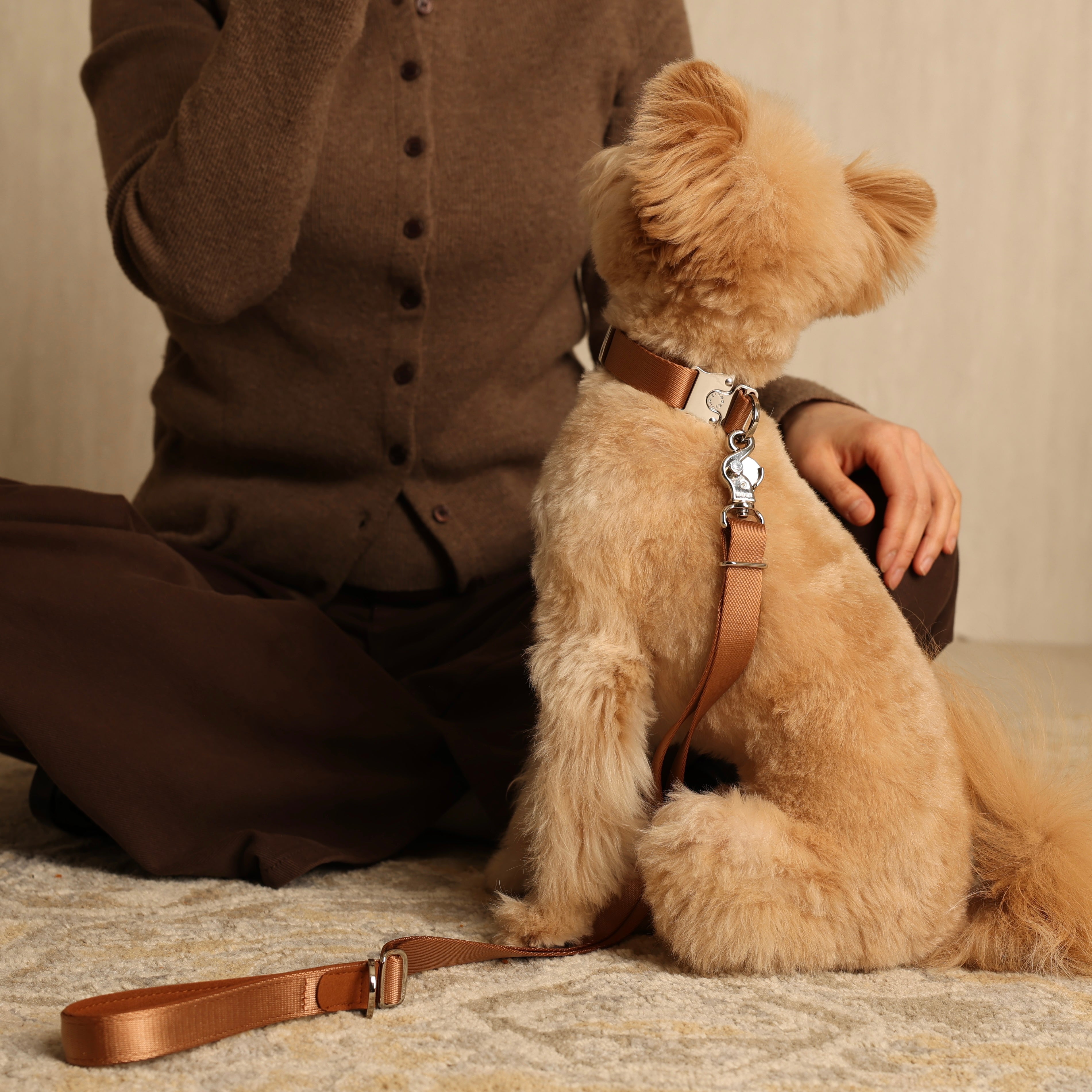 Buckle Strap_CAMEL