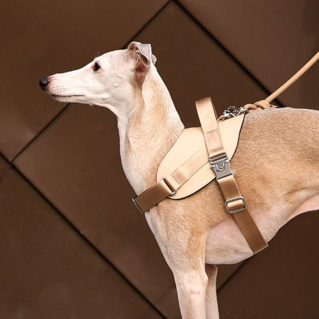 Saddle Harness_BEIGE