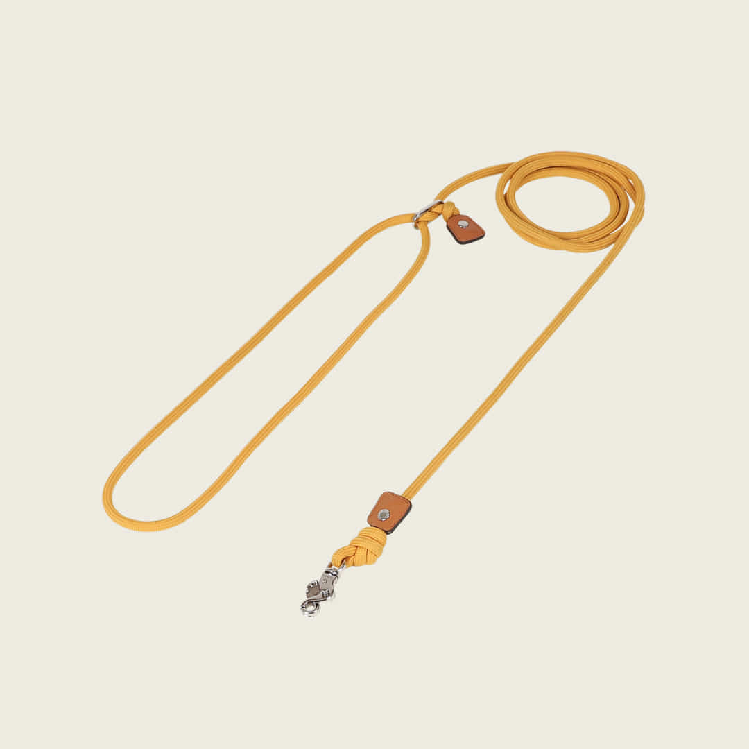 Essential Hands-Free Lead_MUSTARD
