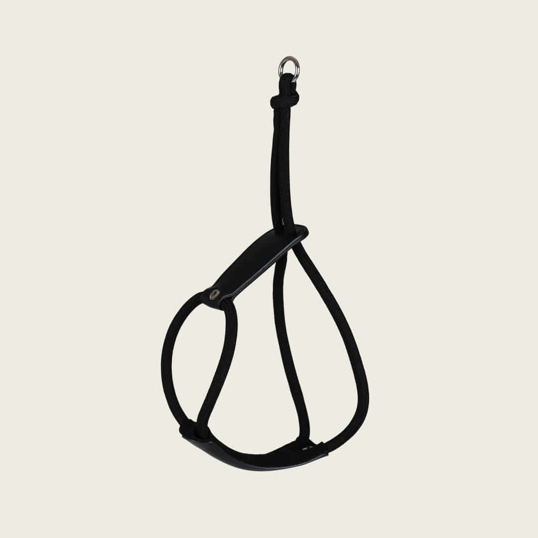 Essential Harness_BLACK