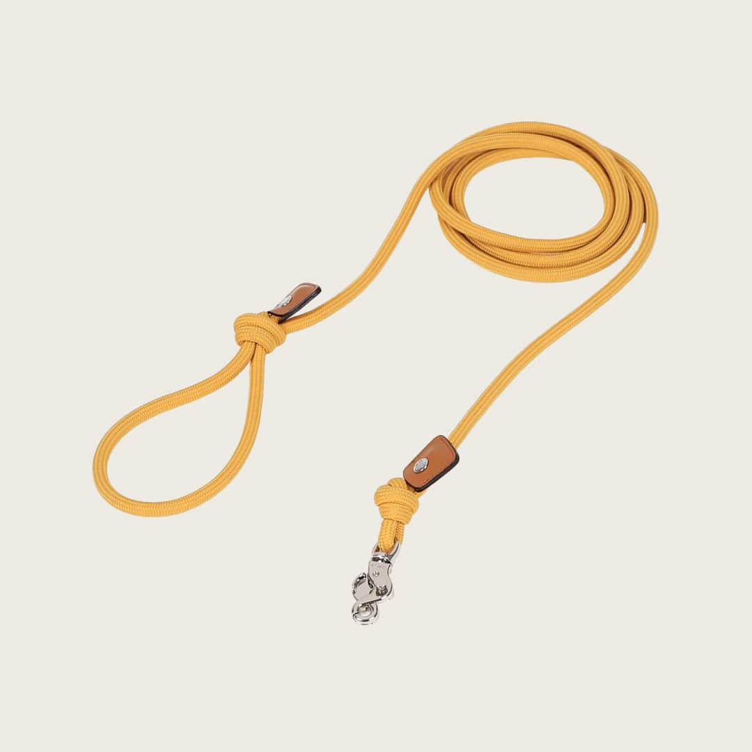 Essential Lead_MUSTARD