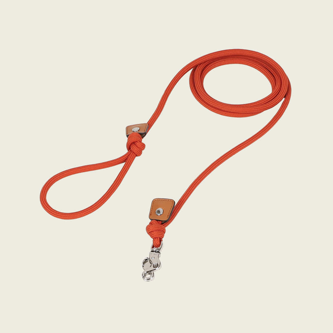 Essential Lead_ORANGE