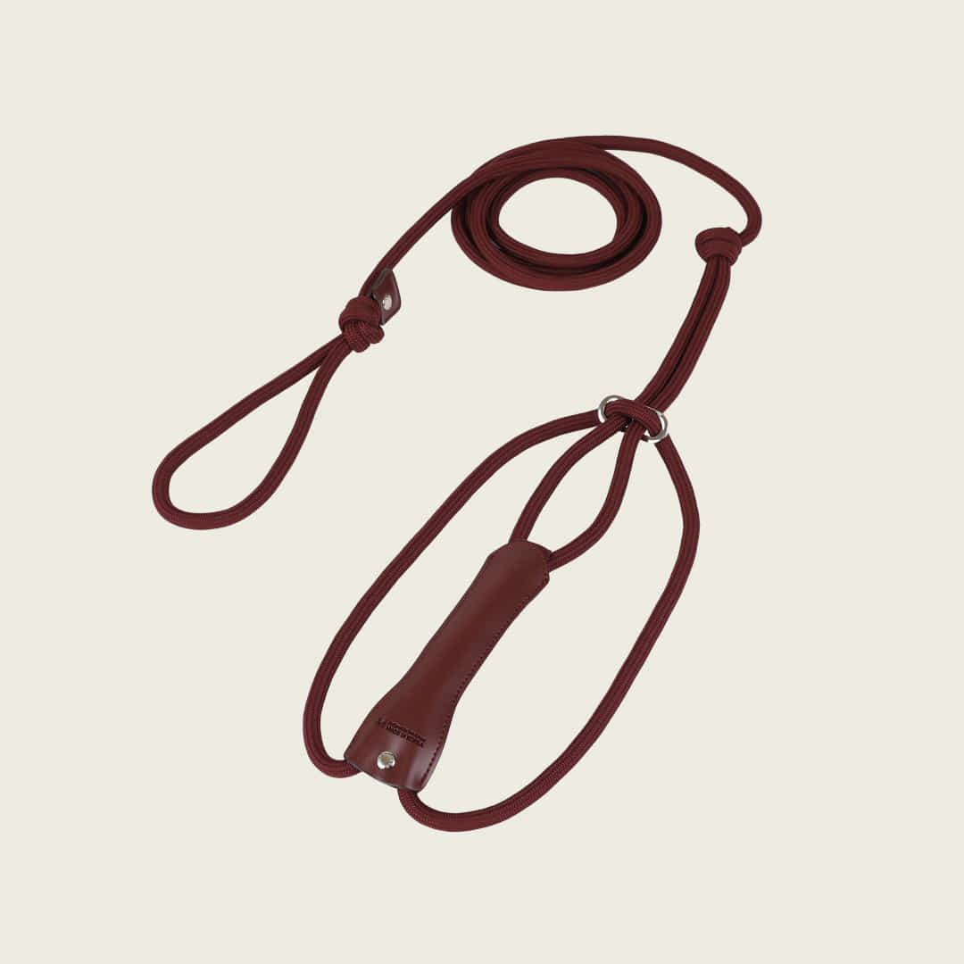 All-In-One Harness_BURGUNDY