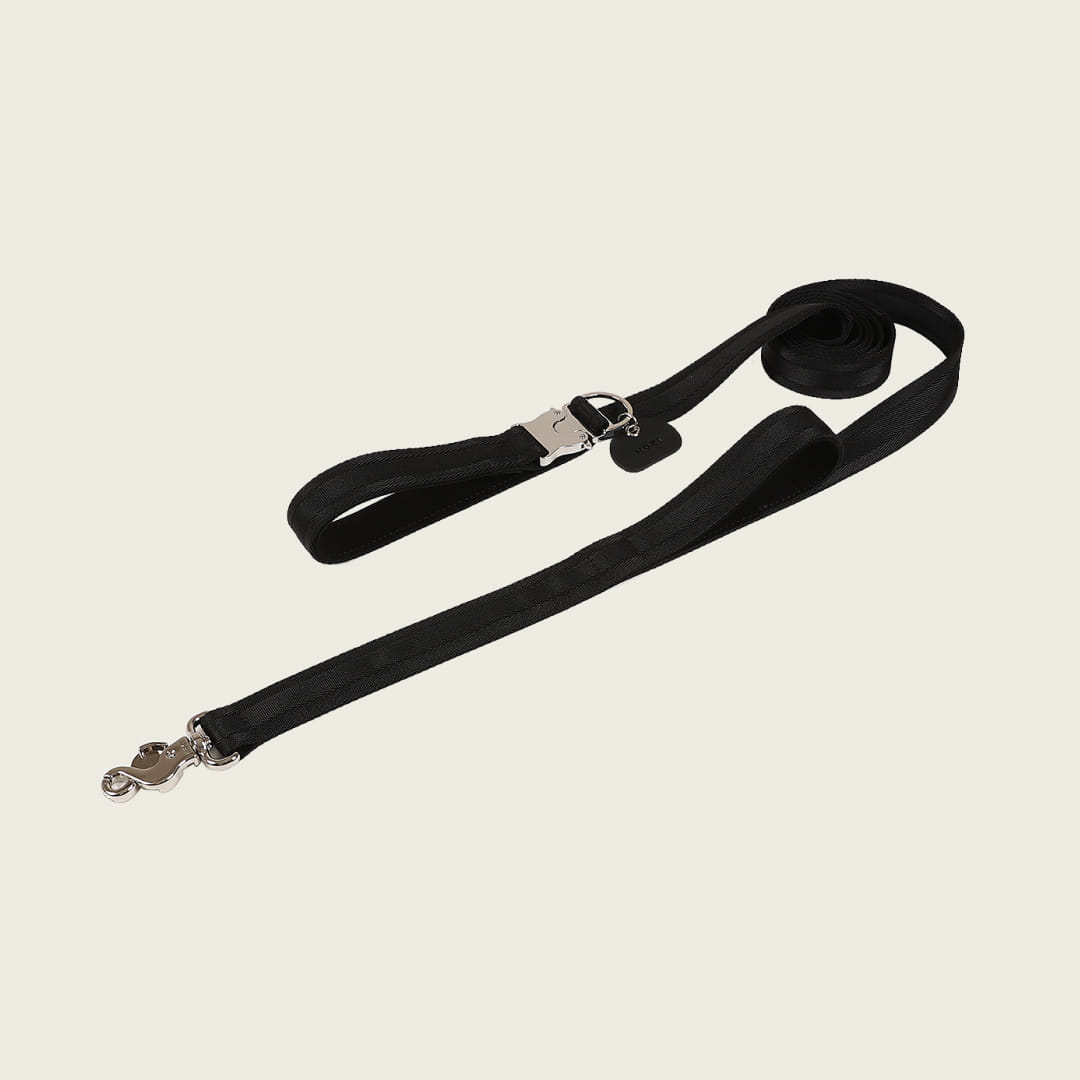 Saddle Hands-Free Lead_BLACK L