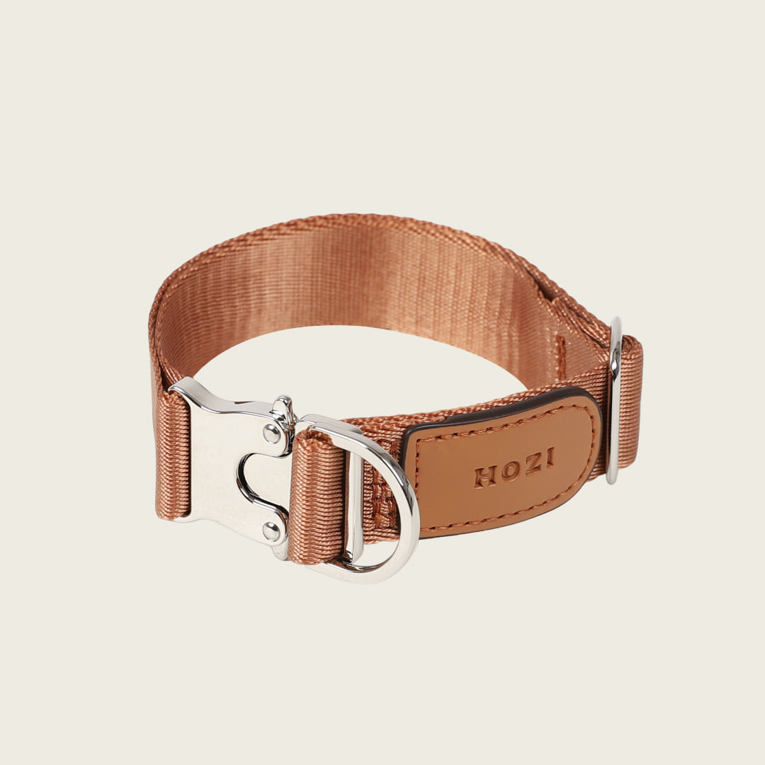 Buckle Strap_CAMEL