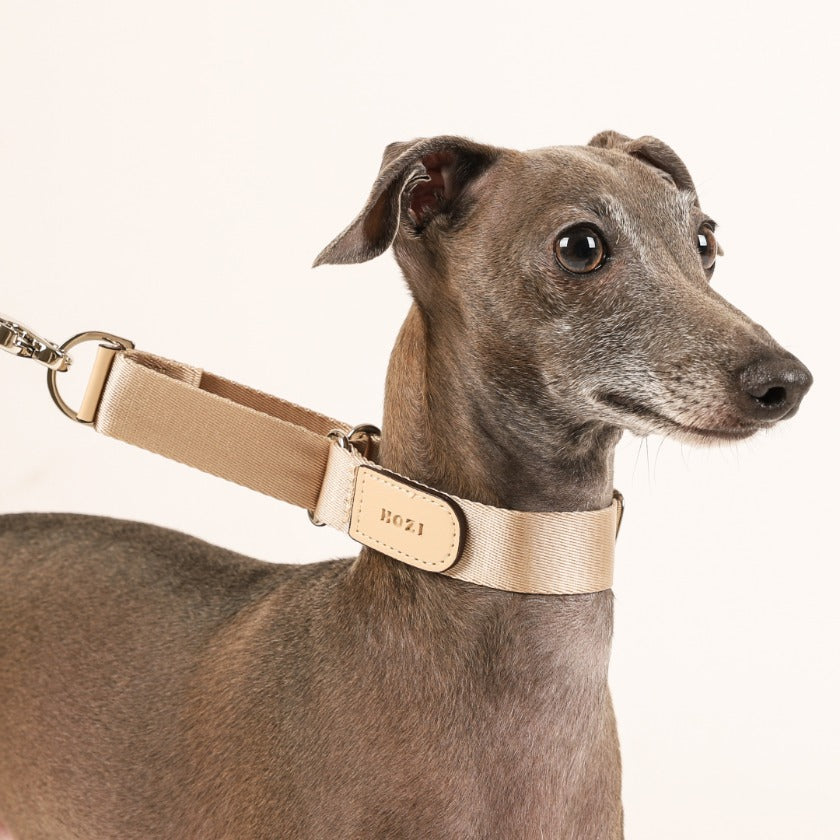 Martingale_BEIGE
