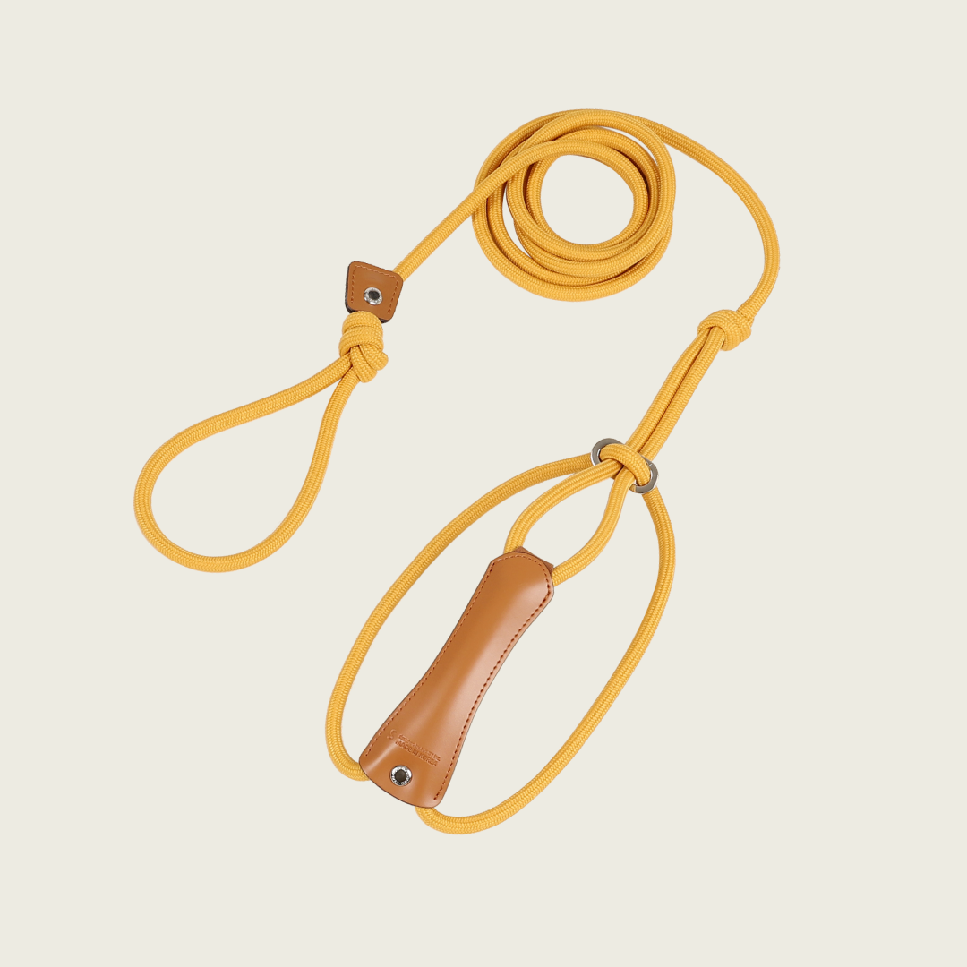 All-In-One Harness_MUSTARD