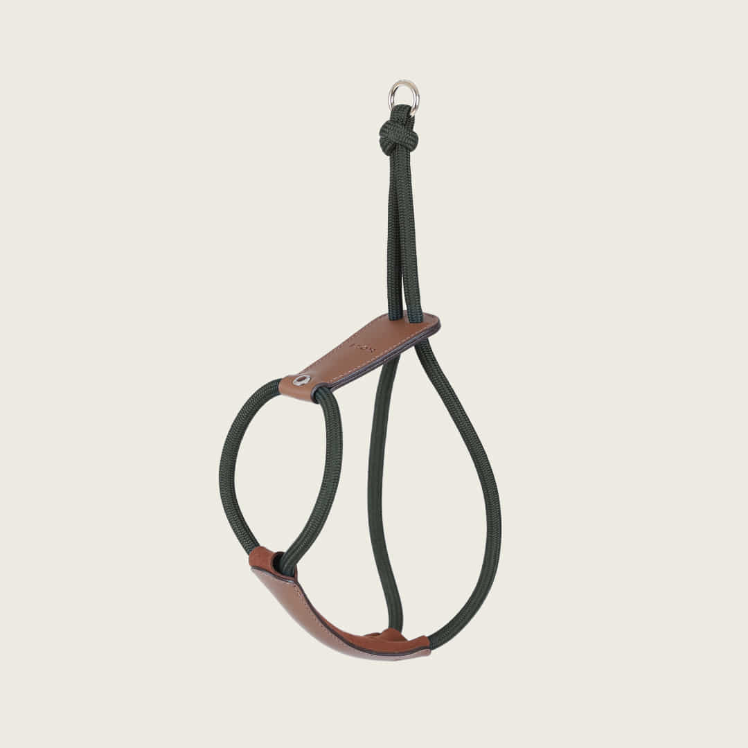 Essential Harness_DEEP GREEN