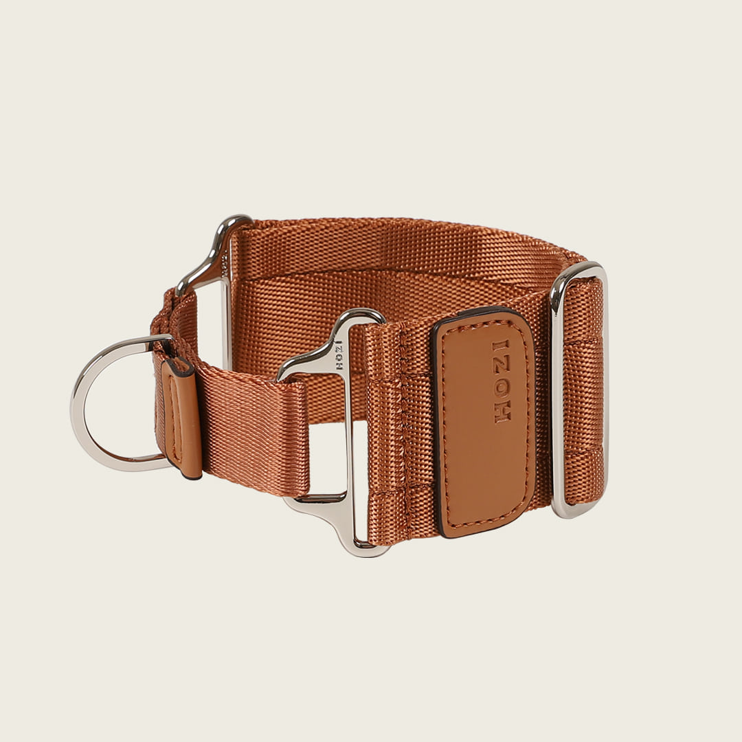 Wide Martingale_CAMEL