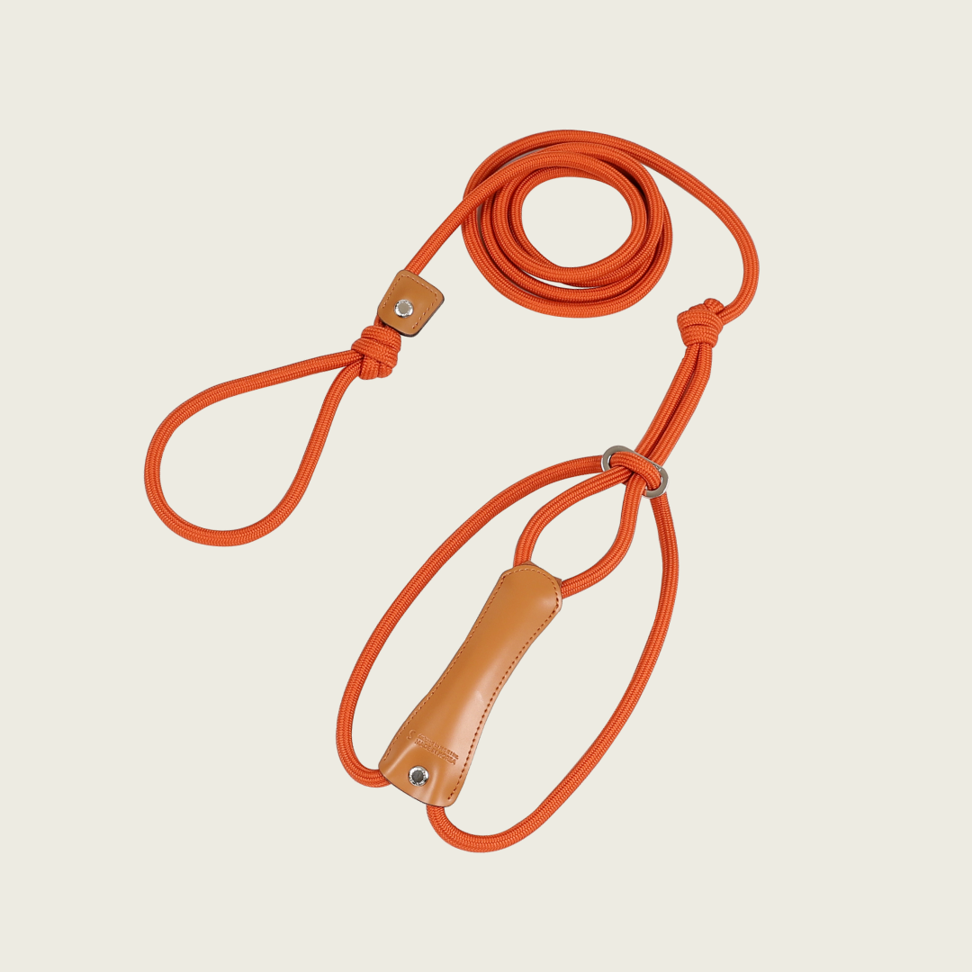 All-In-One Harness_ORANGE