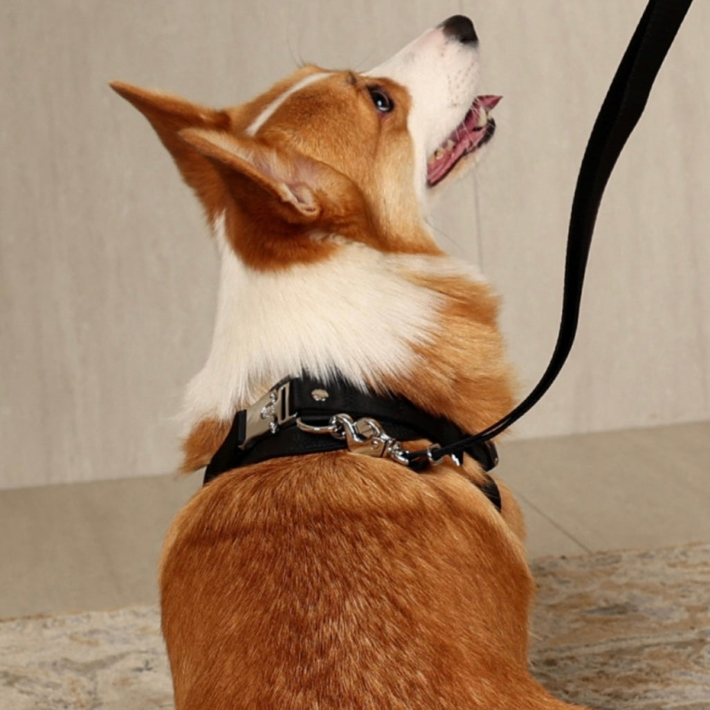 Horsebit Harness_BLACK