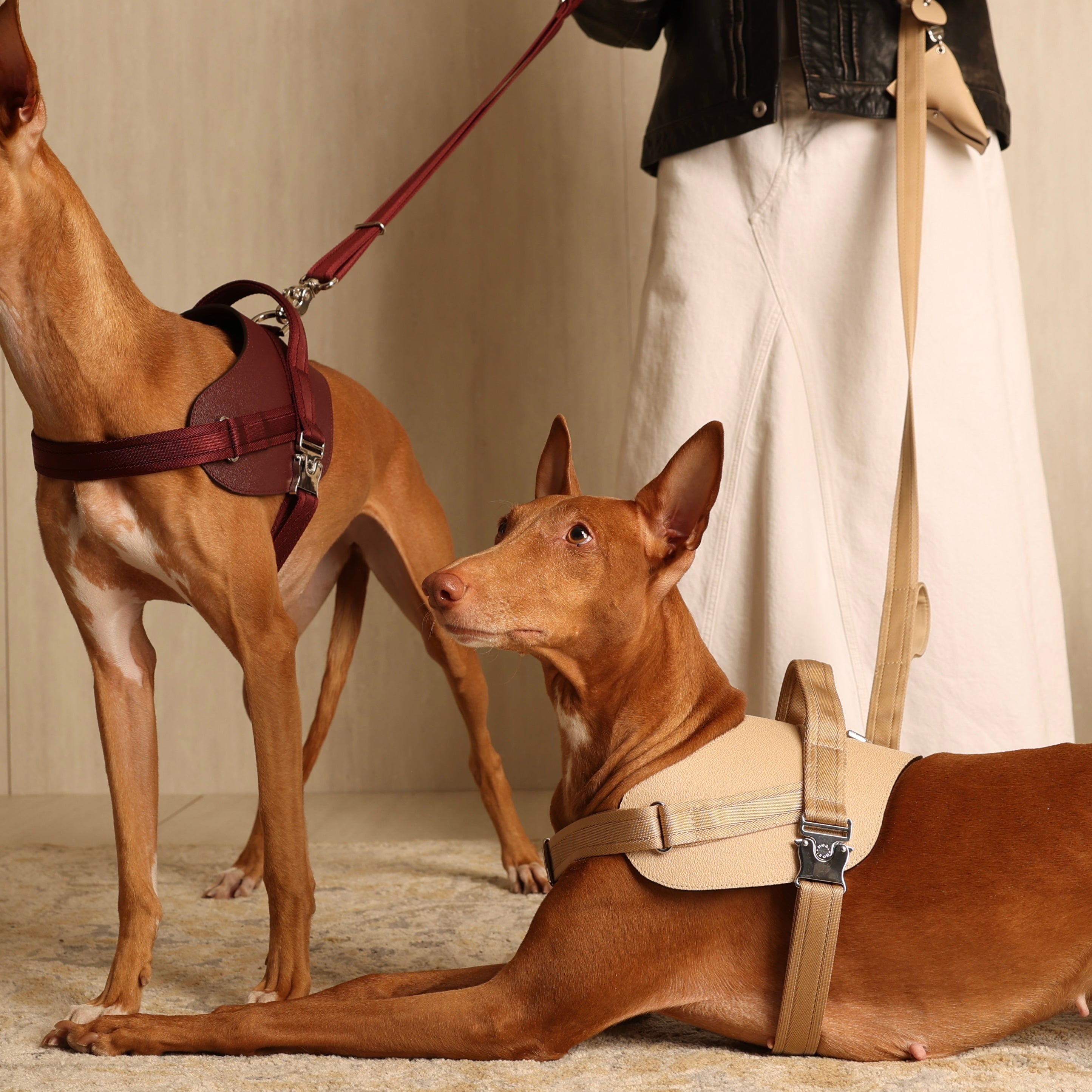 Saddle Harness_BEIGE