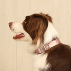 Buckle Strap_PINK