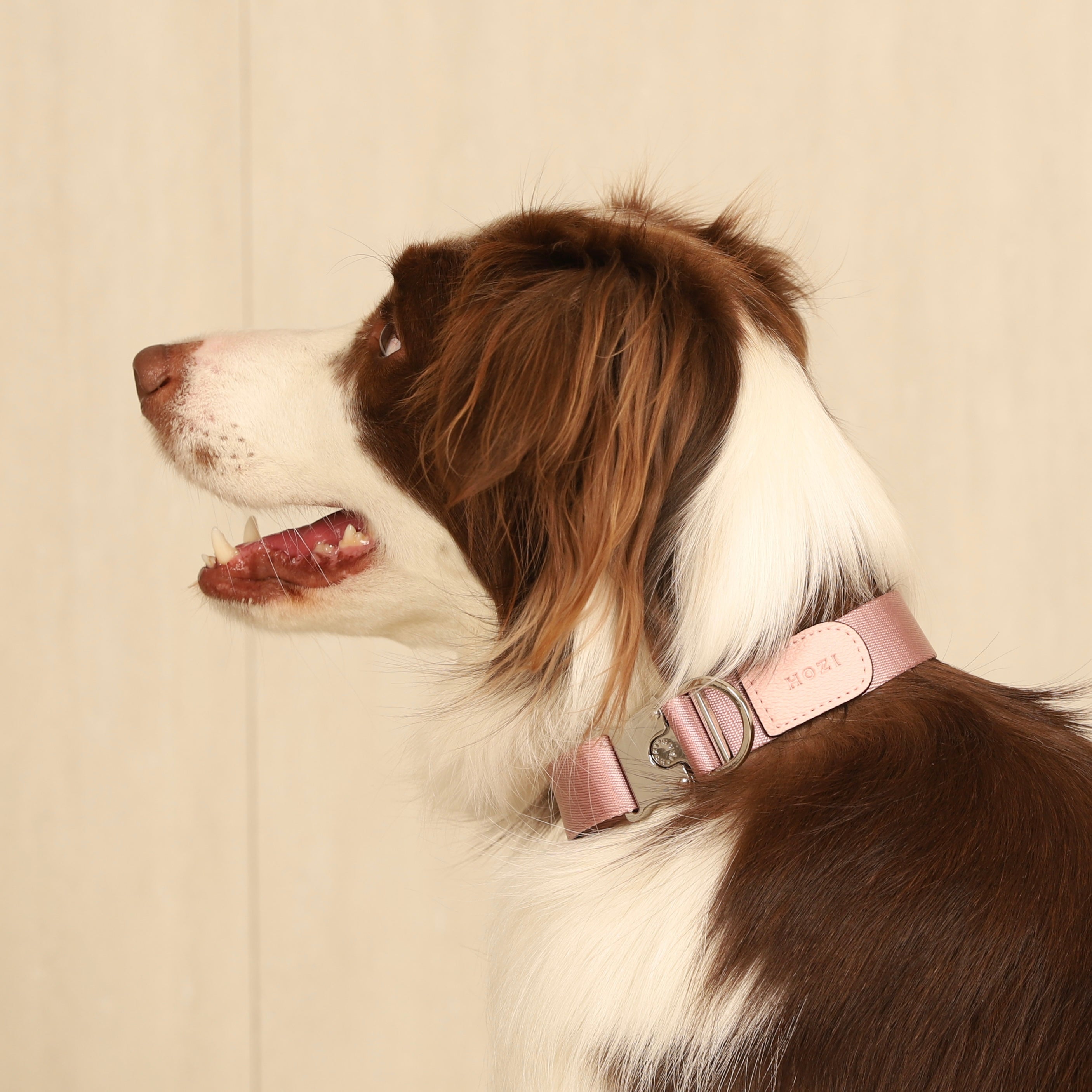 Buckle Strap_PINK