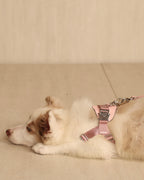 [NEW] Bridle Harness PINK