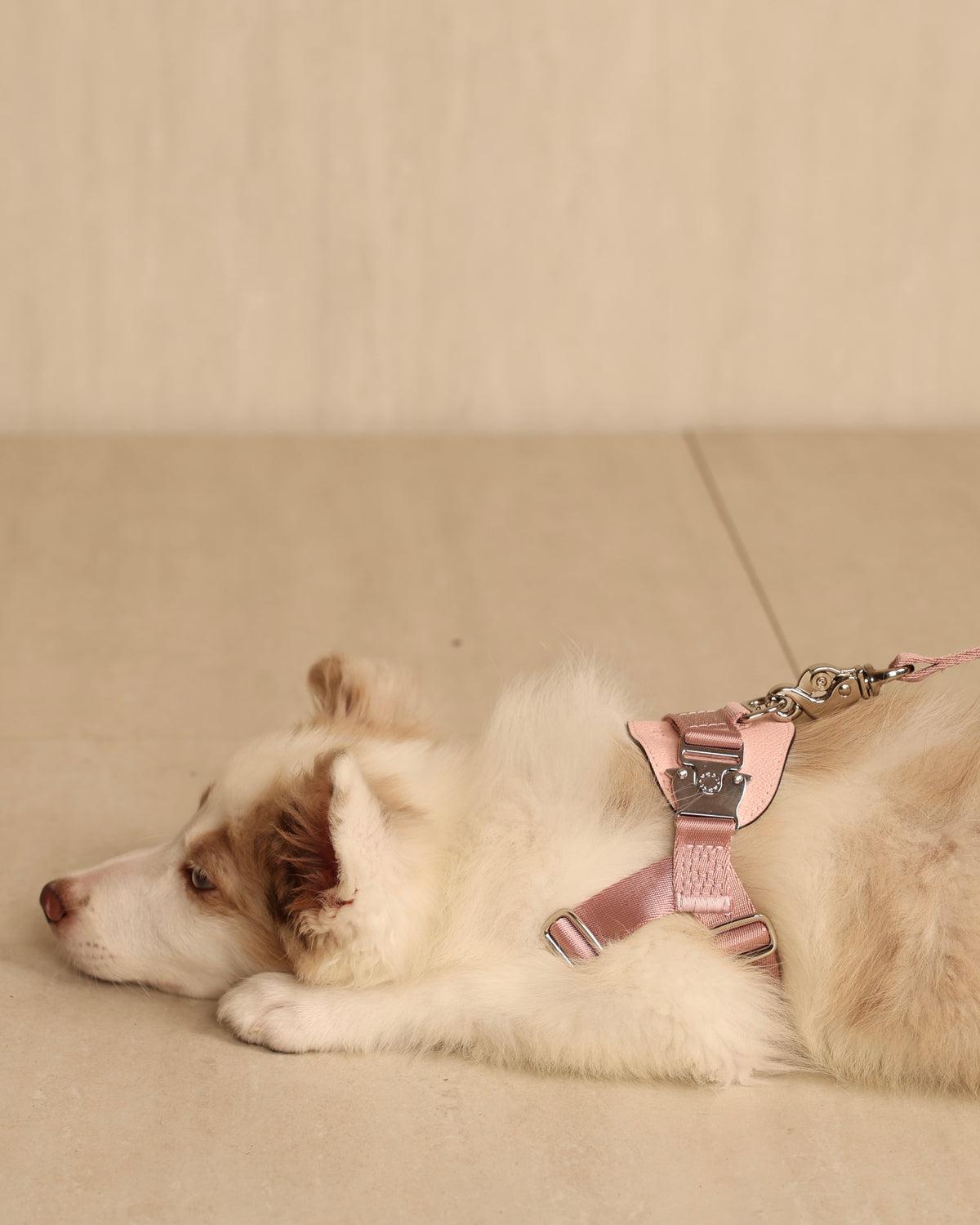 [NEW] Bridle Harness PINK