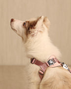 [NEW] Bridle Harness PINK