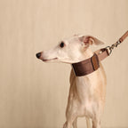 Wide Martingale_MOCHA