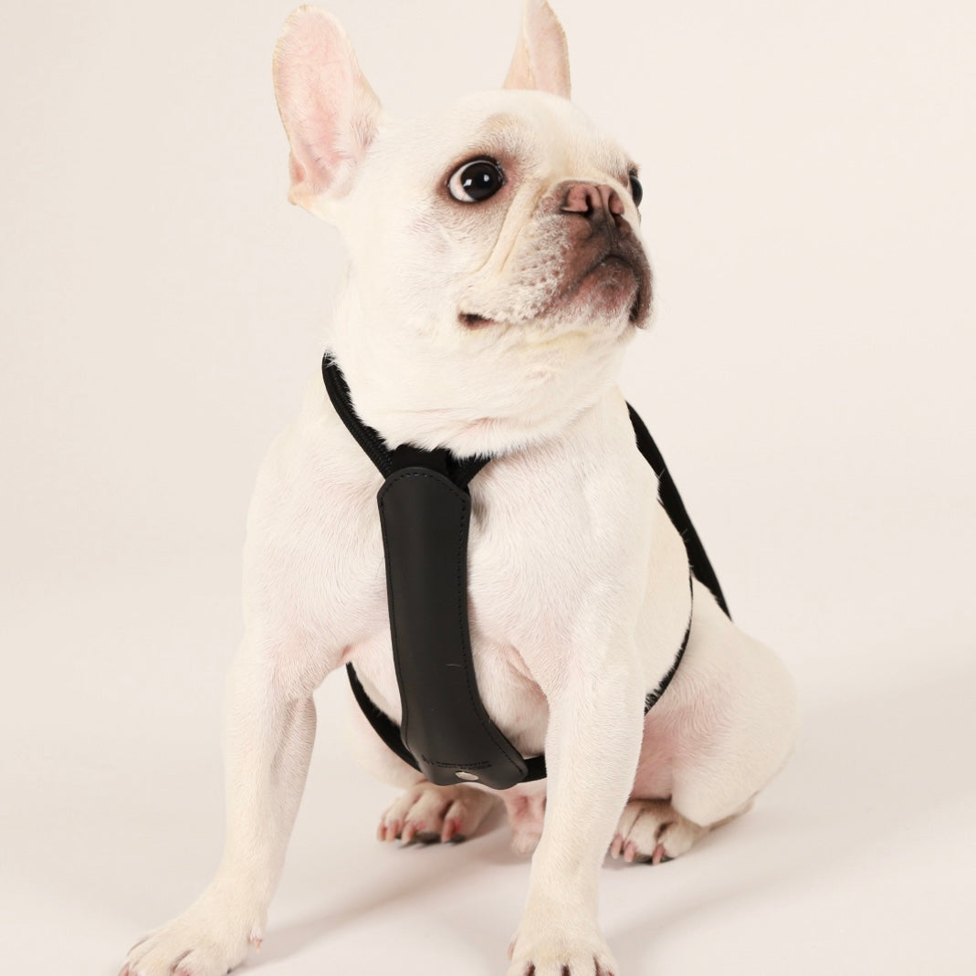 Essential Harness_BLACK