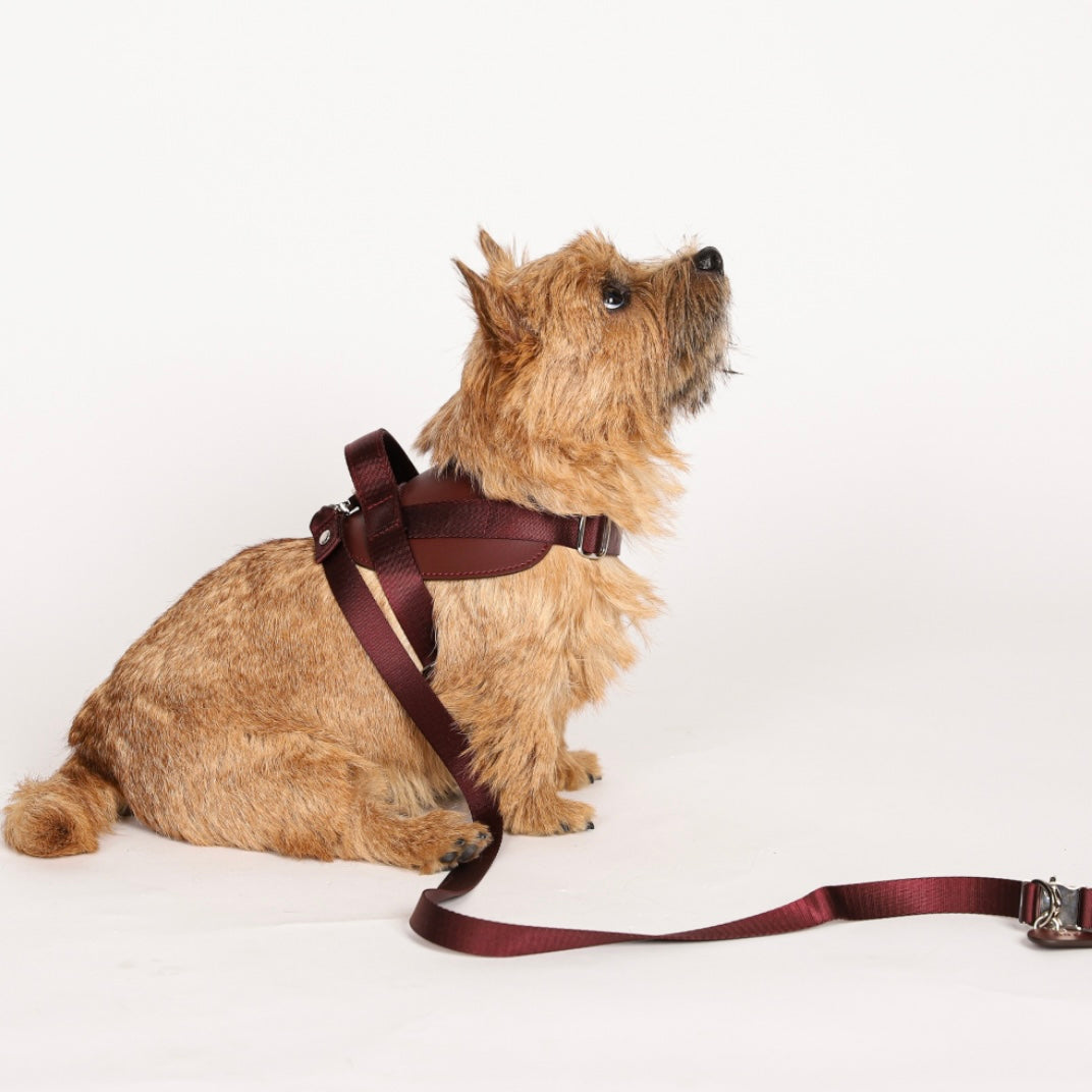 Saddle Harness_BURGUNDY