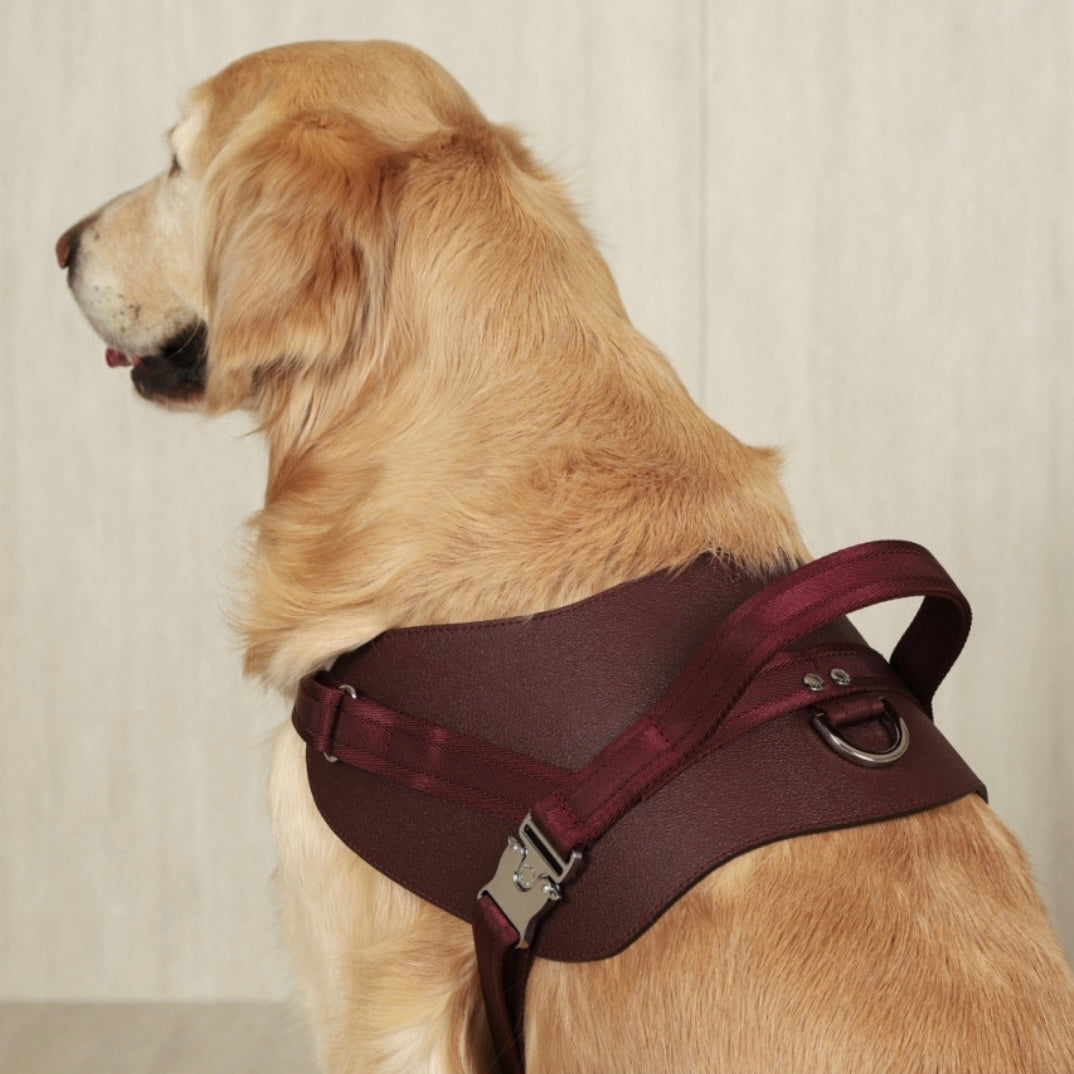 Saddle Harness_BURGUNDY