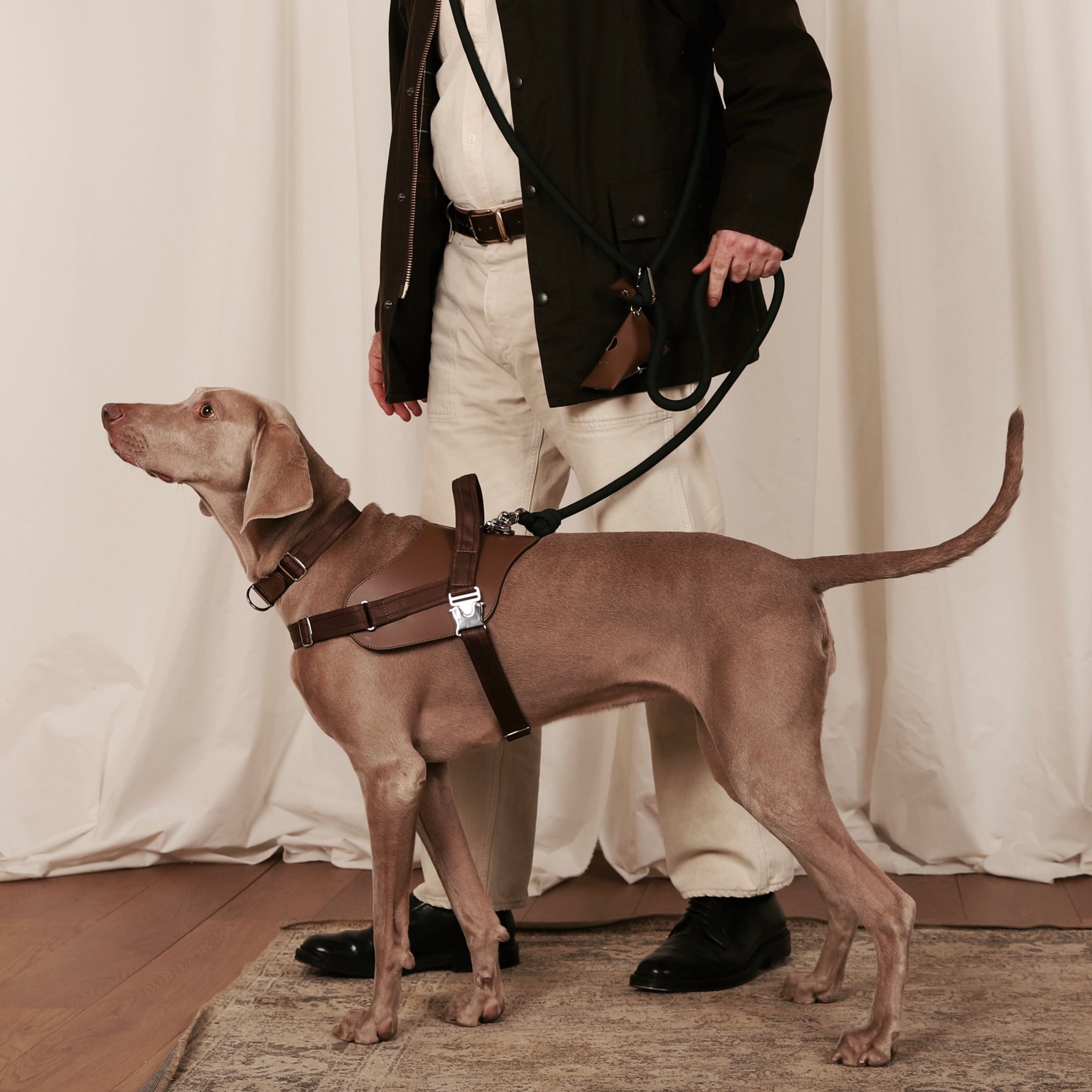 Saddle Harness_MOCHA