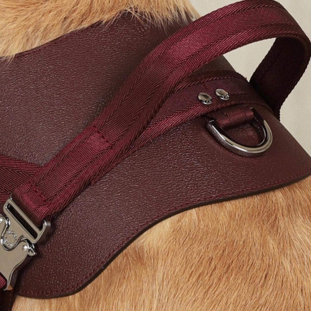 Saddle Harness_BURGUNDY