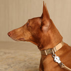Buckle Strap_BEIGE