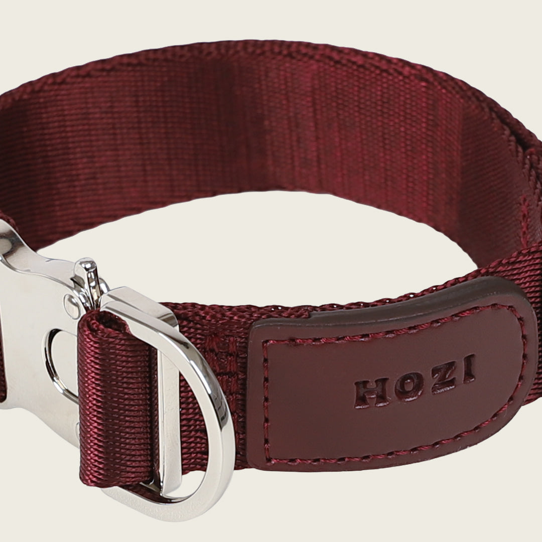 Buckle Strap_BURGUNDY