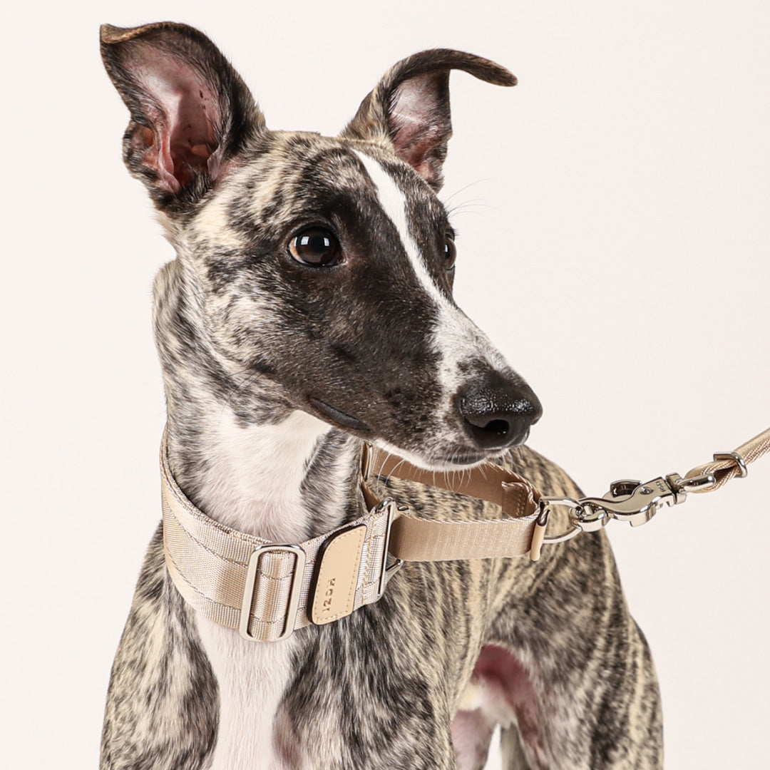 Wide Martingale_BEIGE