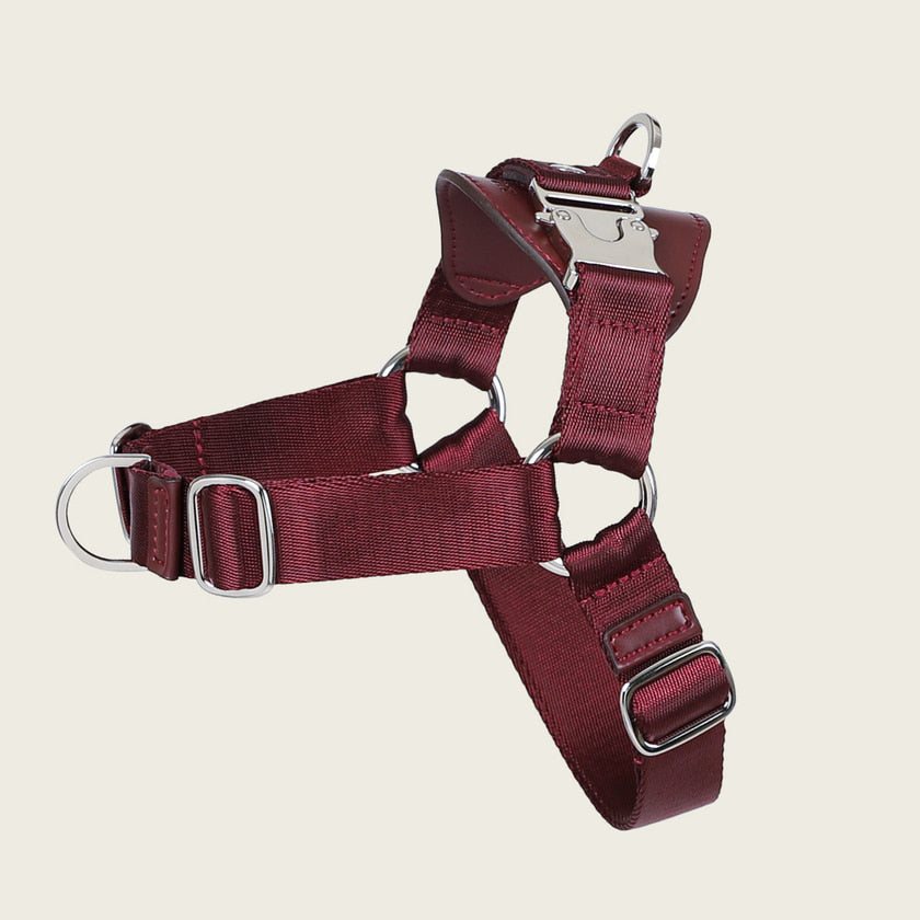 Horsebit Harness_BURGUNDY