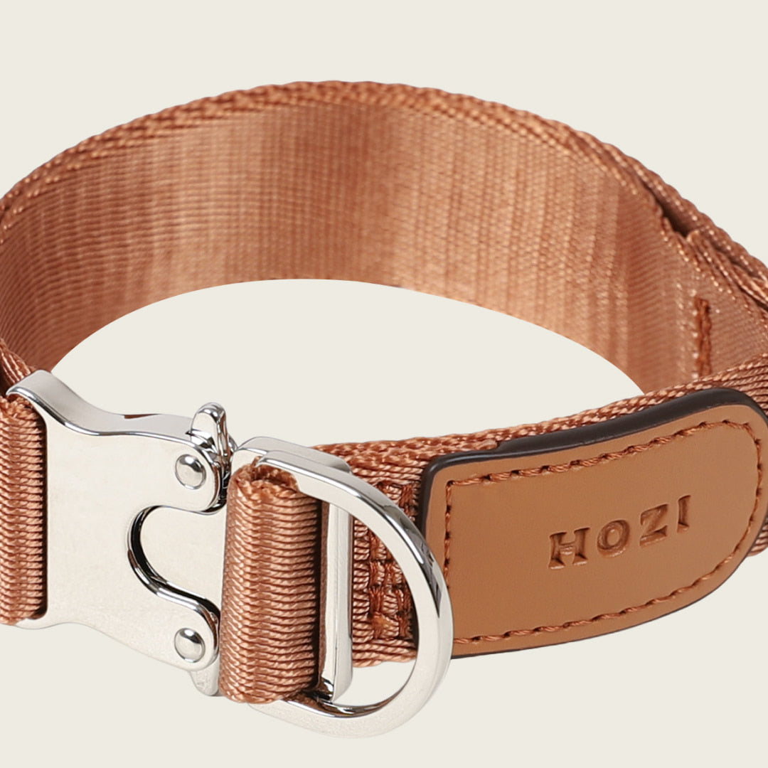 Buckle Strap_CAMEL